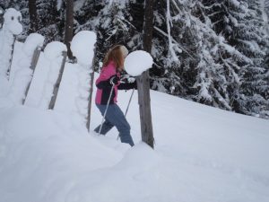 Schneeschuhwandern im Ellmautal