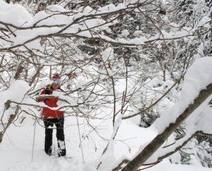 Schneeschuhwandern im Winterwald