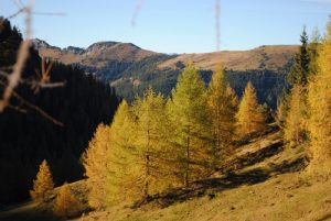 Herbstwandern mit Märchen
